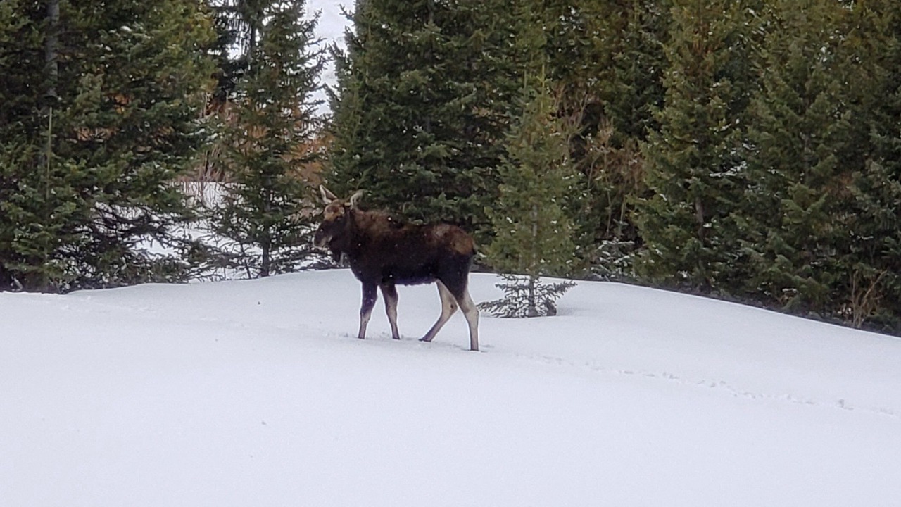 Photo of Others in Breckenridge