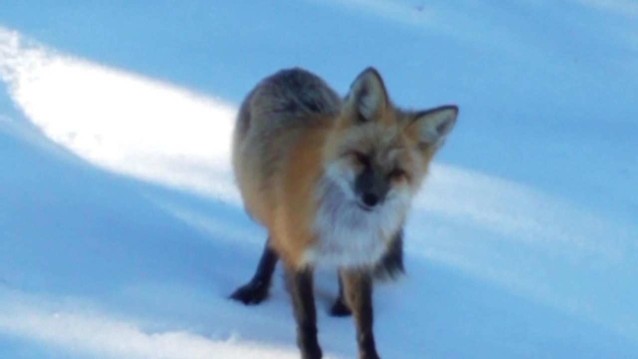 Photo of Others in Breckenridge
