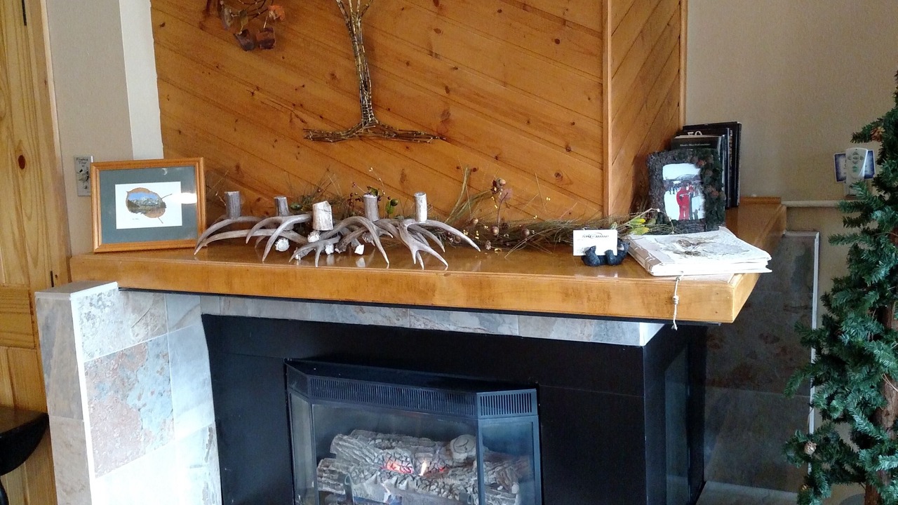 Photo of Livingroom in Warrior's Mark