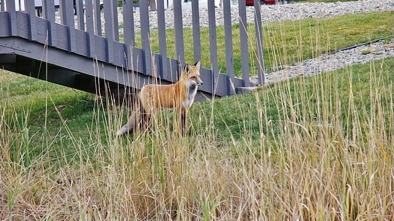 Photo of Others in Fraser