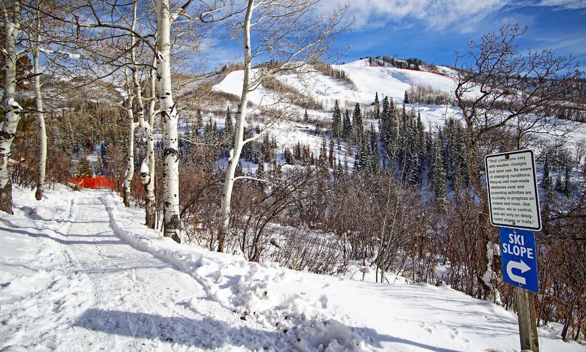 Photo of Others in Steamboat Springs