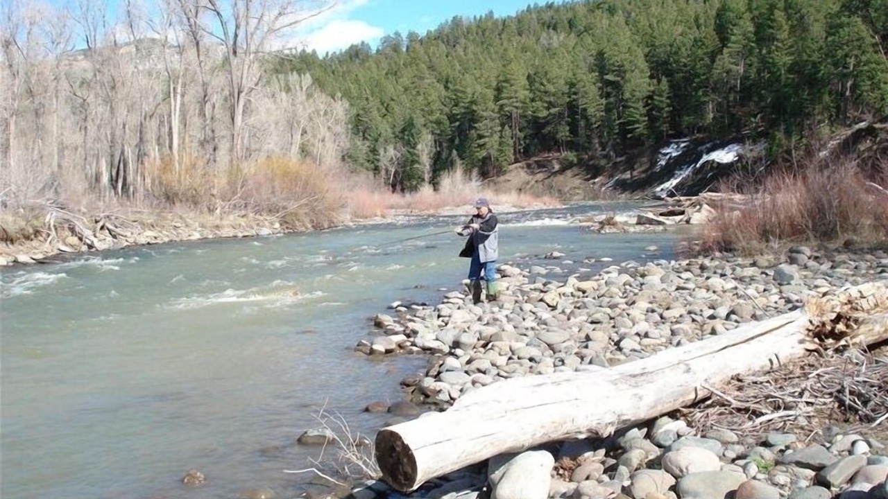 Photo of Others in San Juan River Village