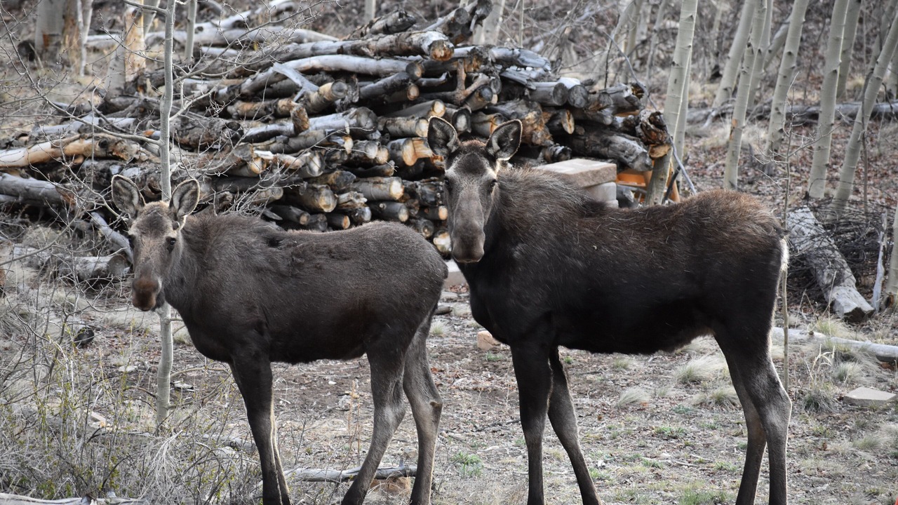 Photo of Others in Warm Springs