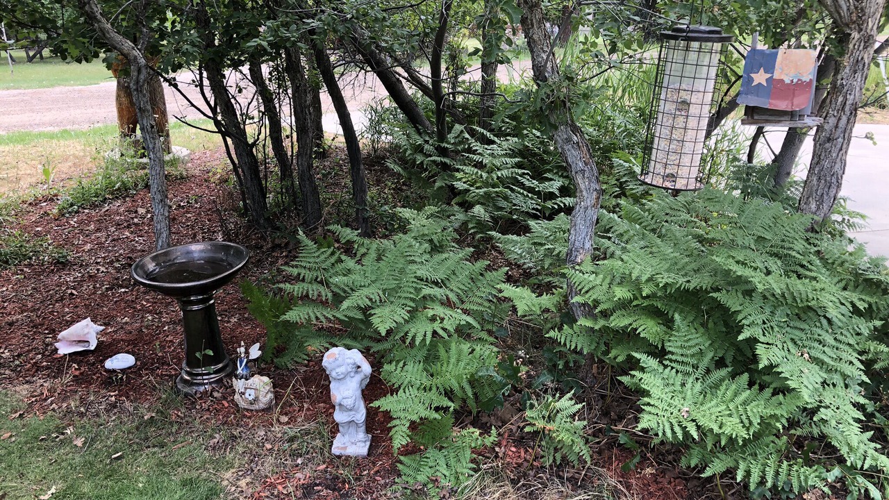 Photo of Outdoor in Forest Lakes