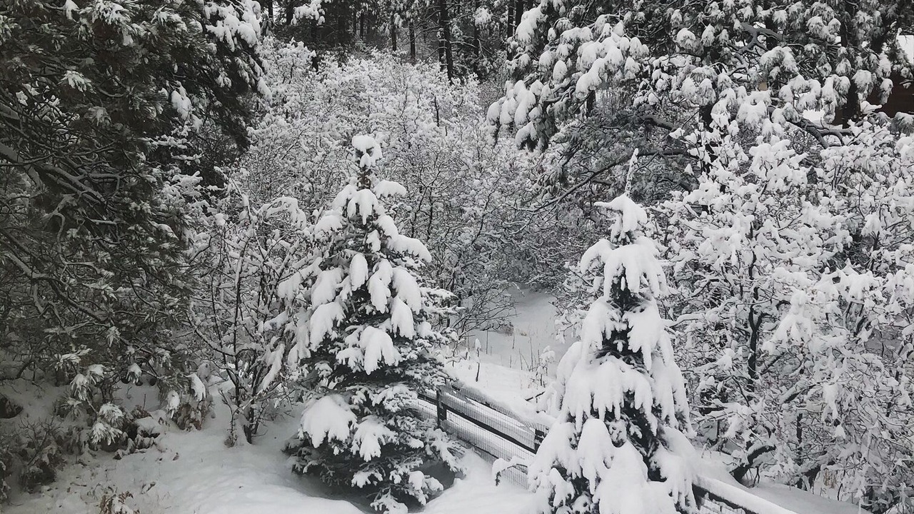 Photo of Others in Forest Lakes