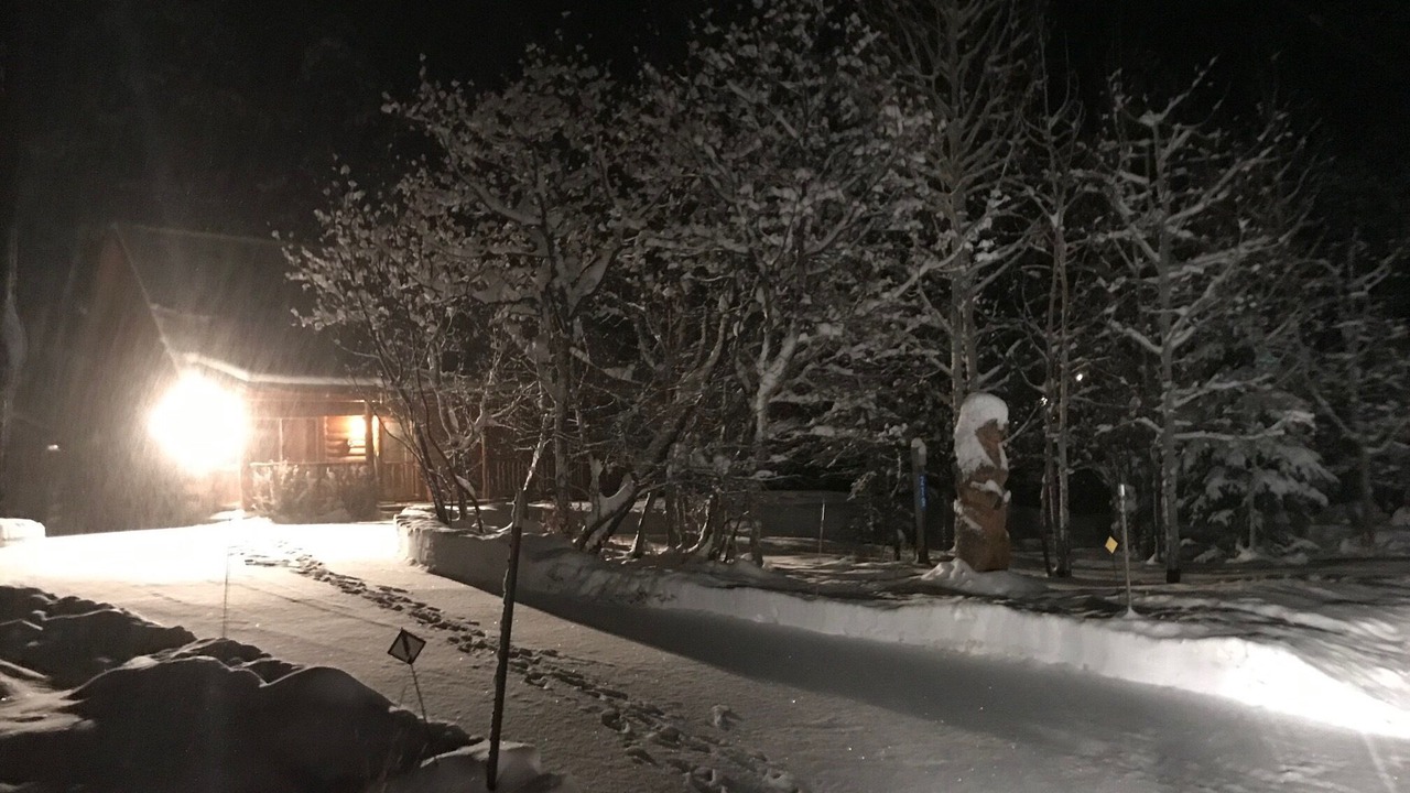 Photo of Others in Forest Lakes