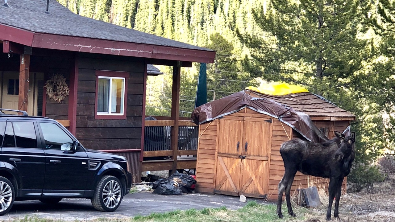 Photo of Outdoor in Blue River