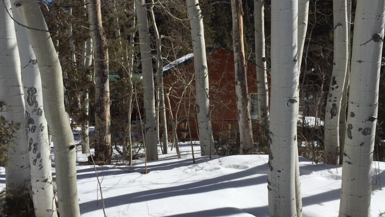 Photo of Others in Salida