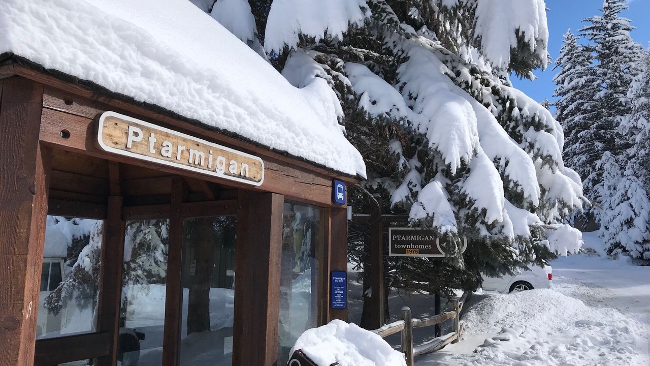 Photo of Others in Vail