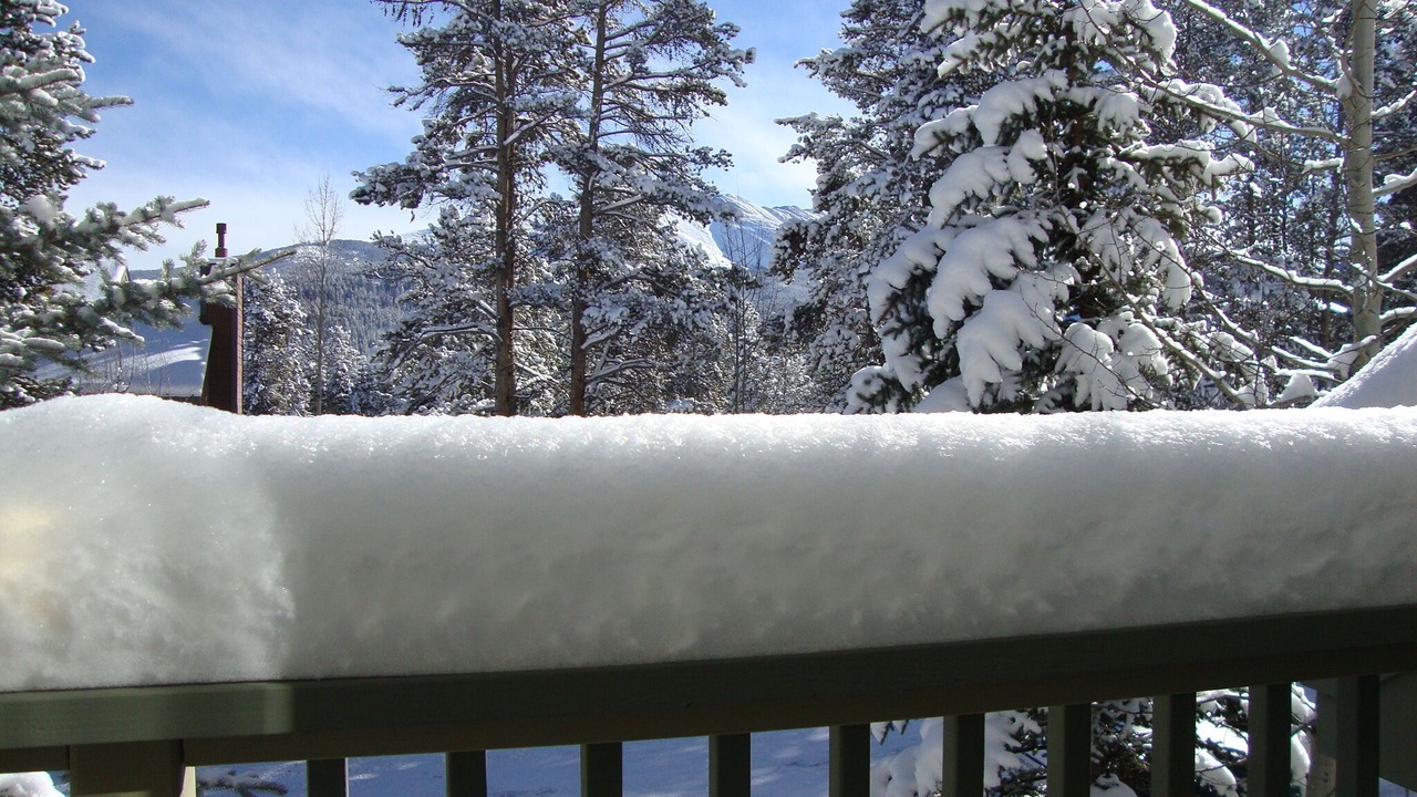 Photo of Outdoor in Four O'Clock
