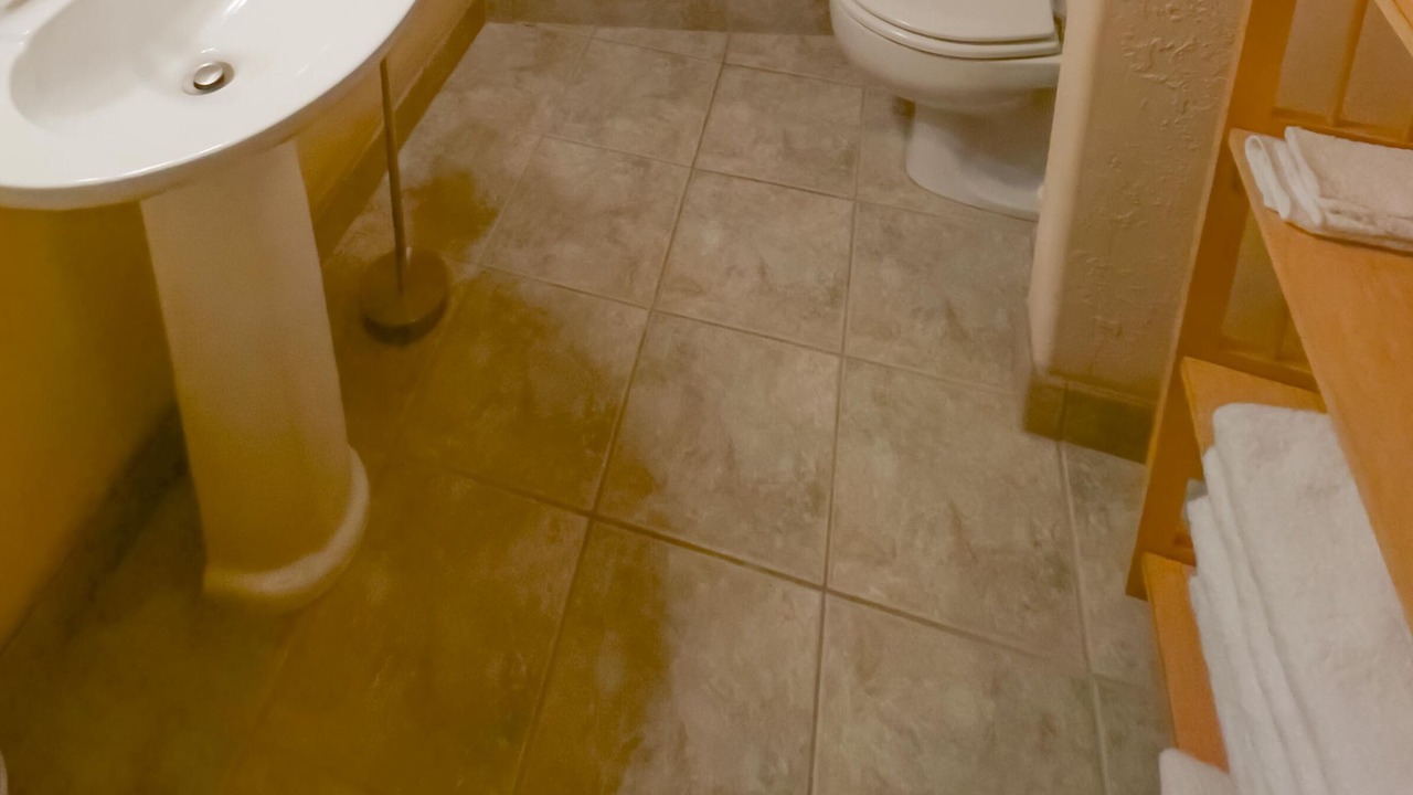 Photo of Bathroom in Dillon