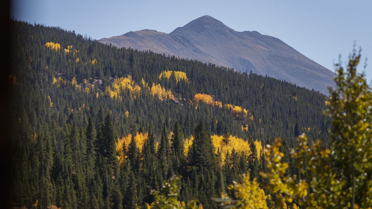 Photo of Others in Coyne Placer Valley