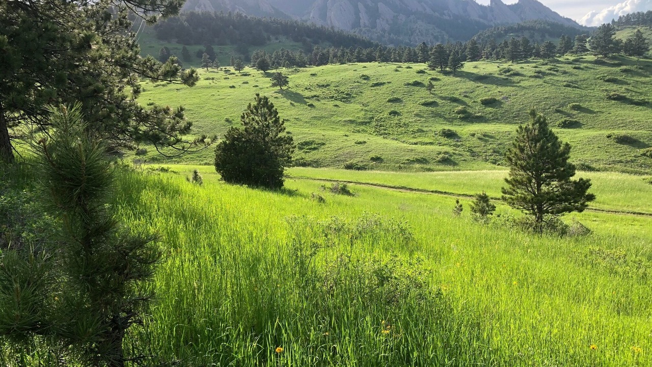 Photo of Others in South Boulder