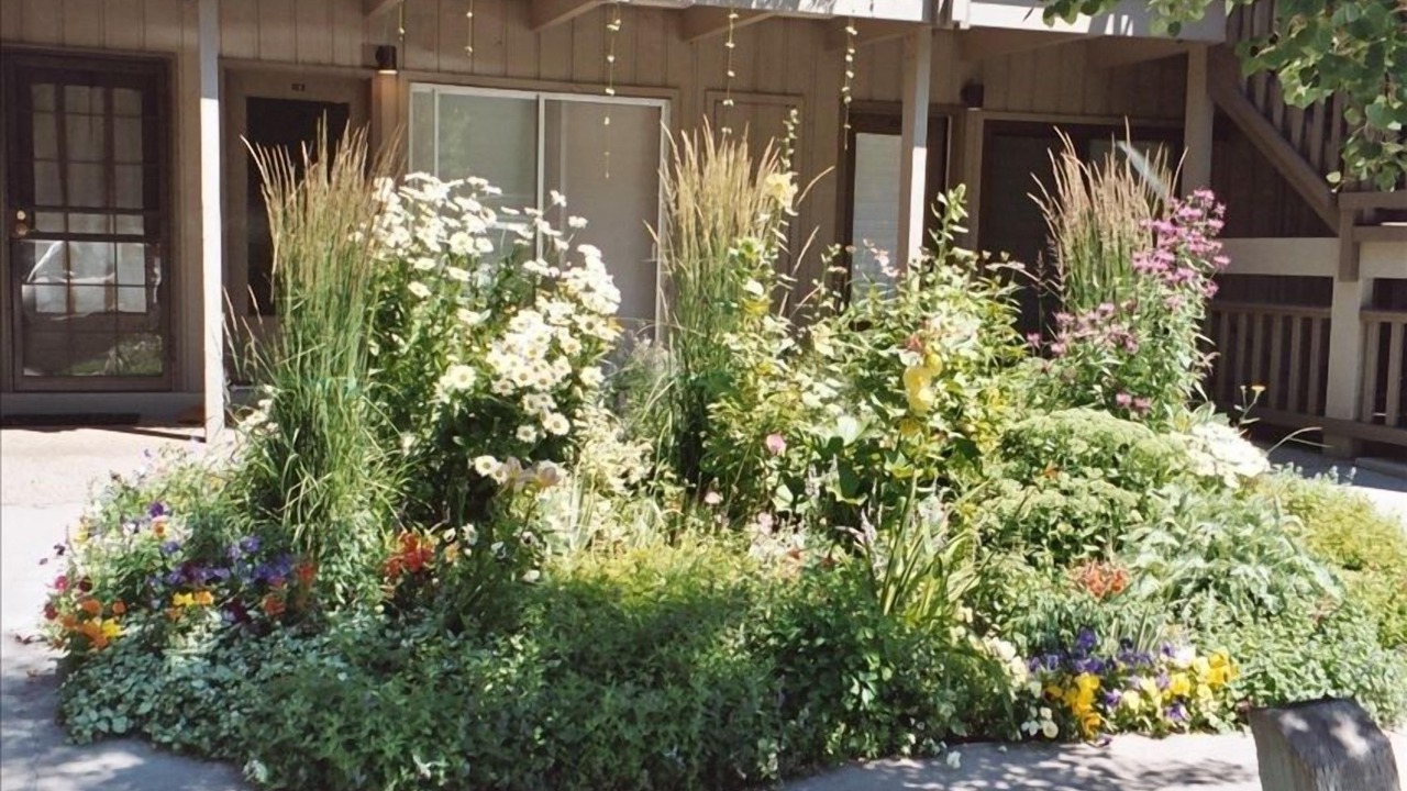 Photo of Outdoor in Aspen