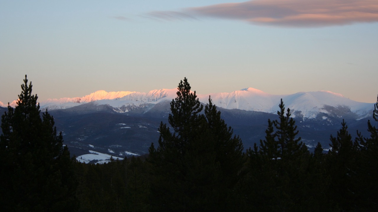 Photo of Others in Pole Creek Meadows