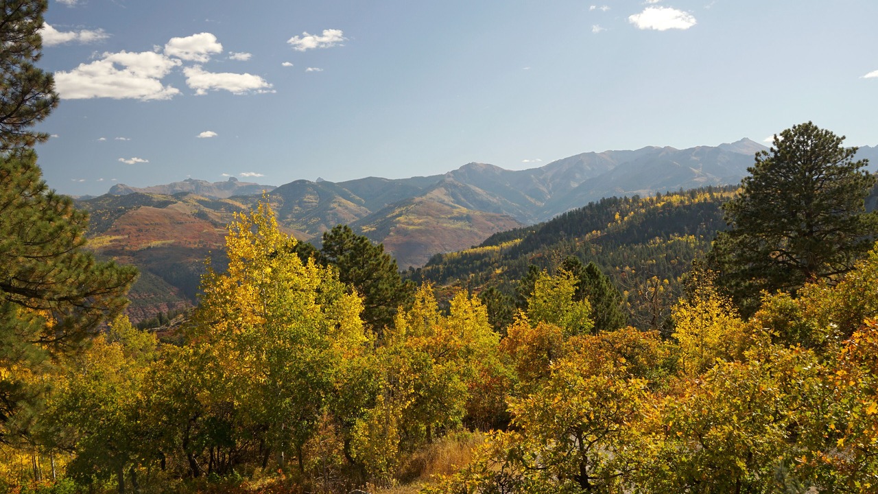 Photo of Outdoor in Elk Meadows
