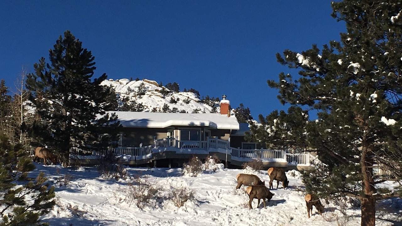 Photo of Others in Estes Park