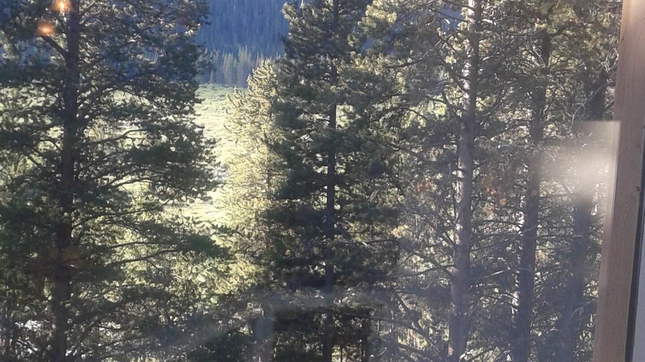 Photo of Others in Blue River