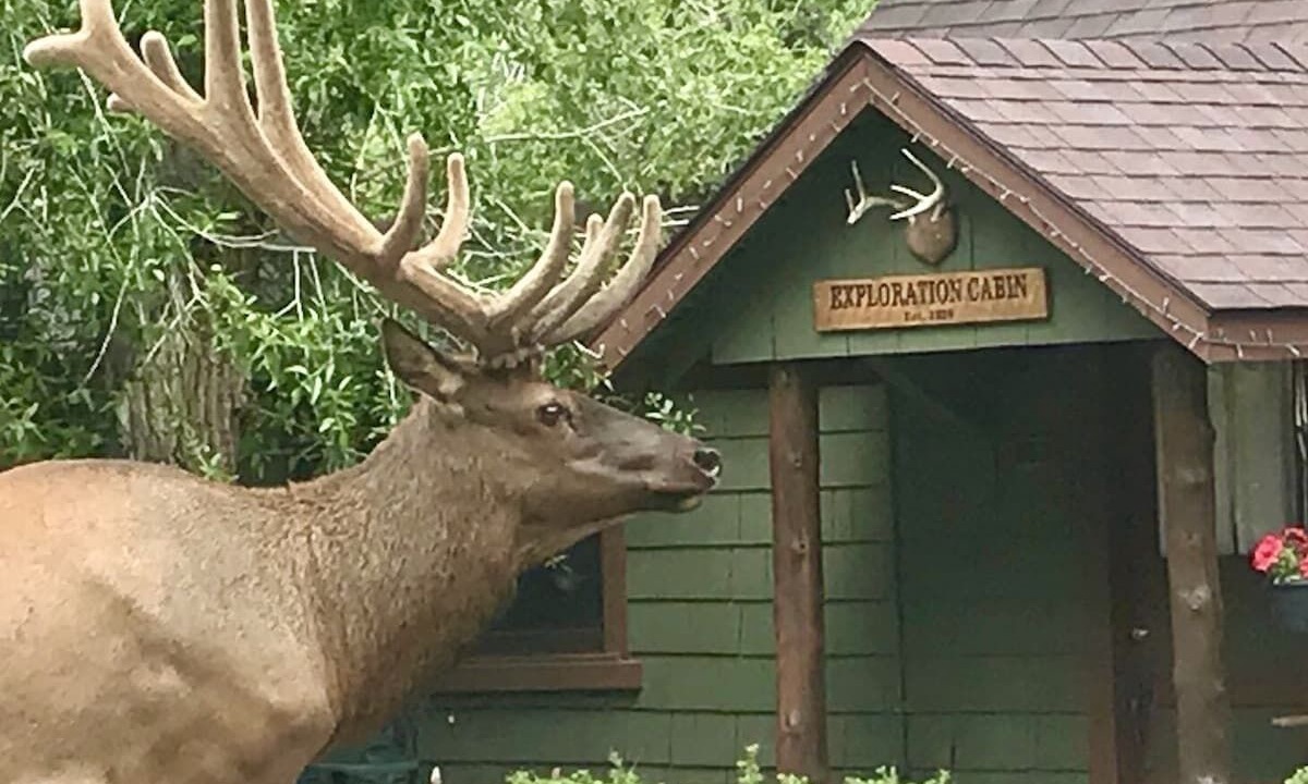 Photo of Others in Estes Park