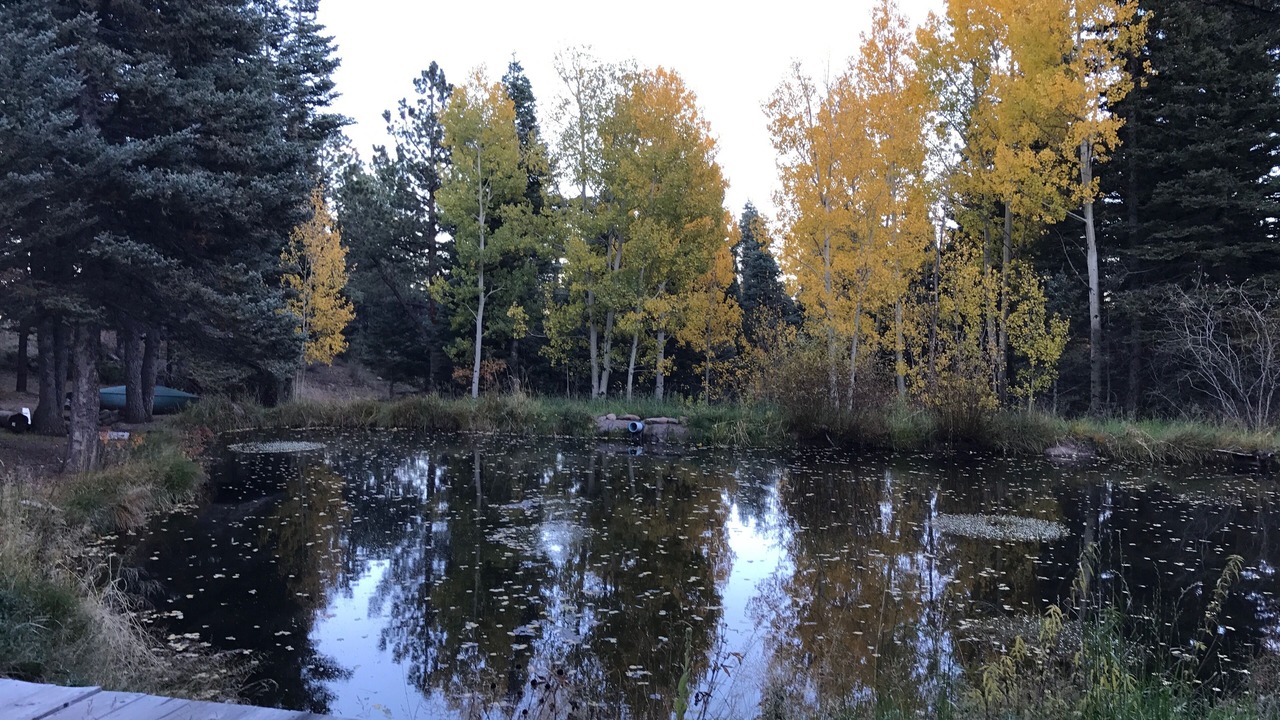 Photo of Others in Westcliffe