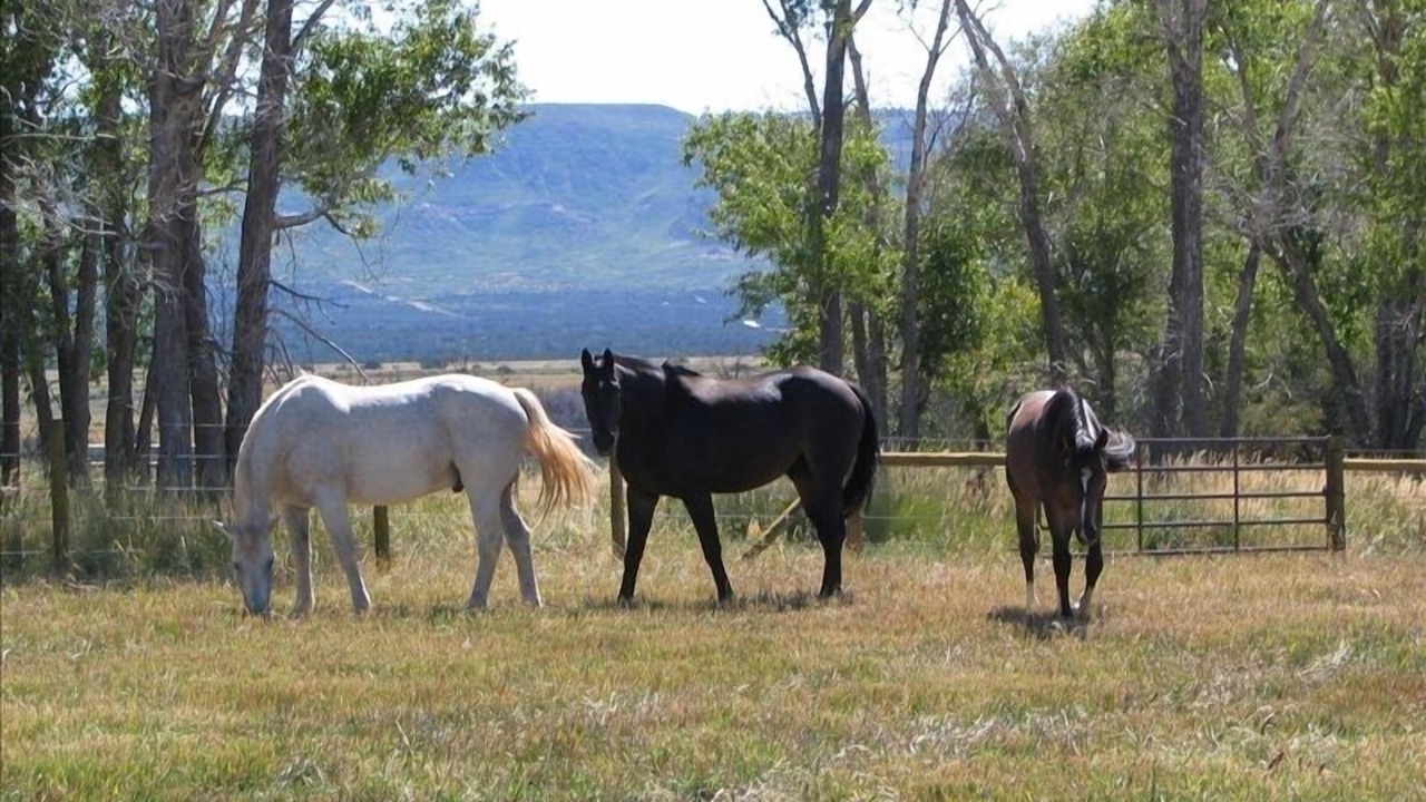 Photo of Others in Hesperus