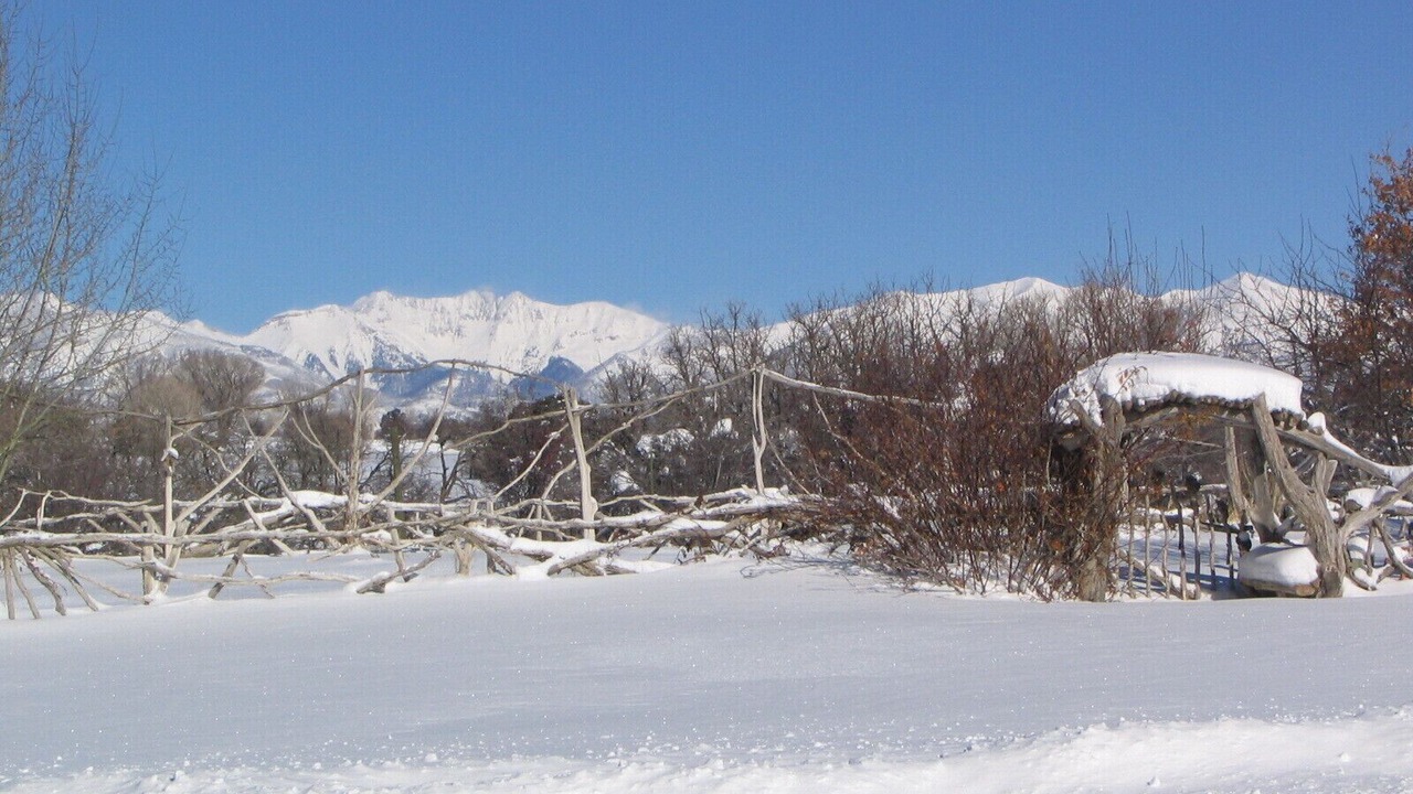 Photo of Others in Hesperus