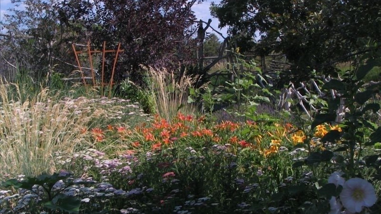Photo of Outdoor in Hesperus