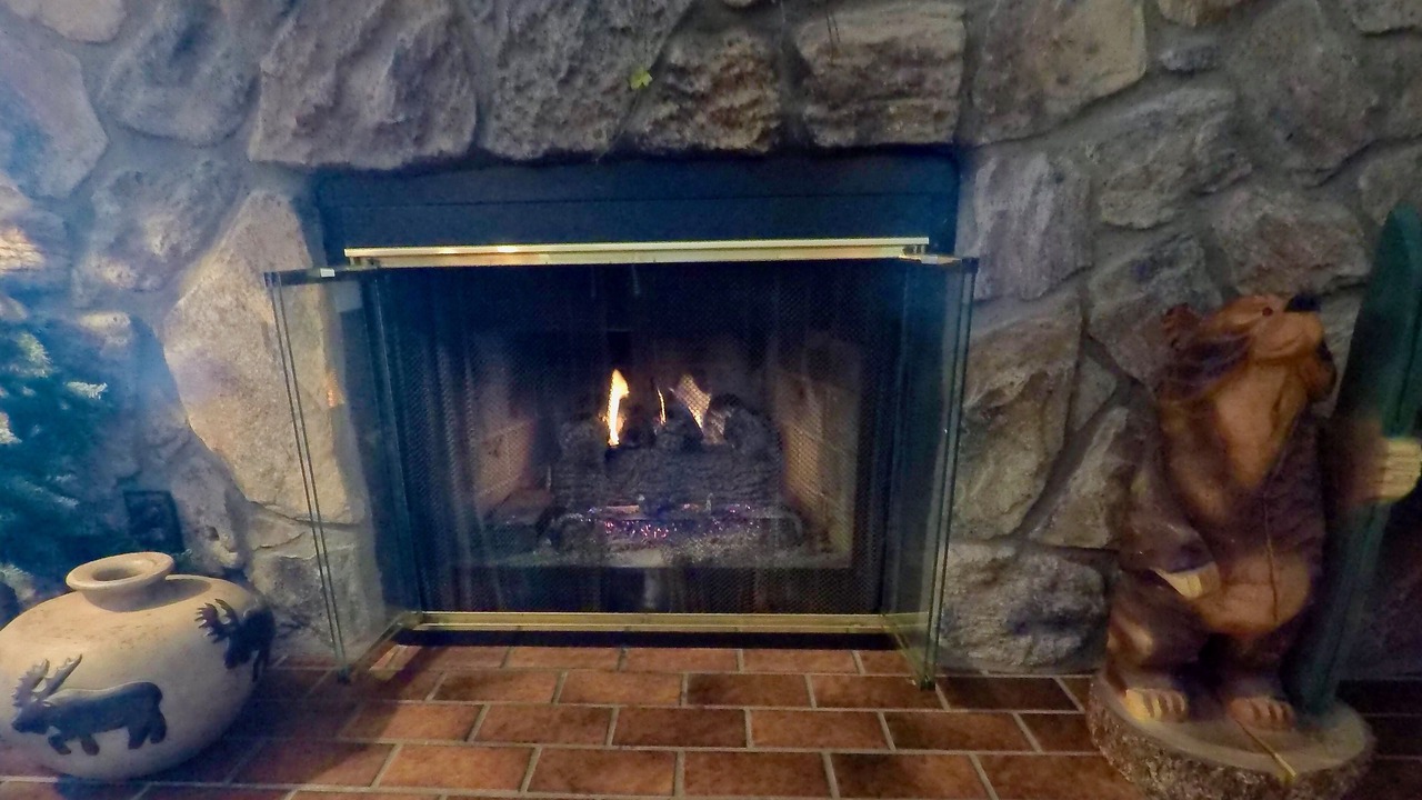 Photo of Livingroom in Historic District