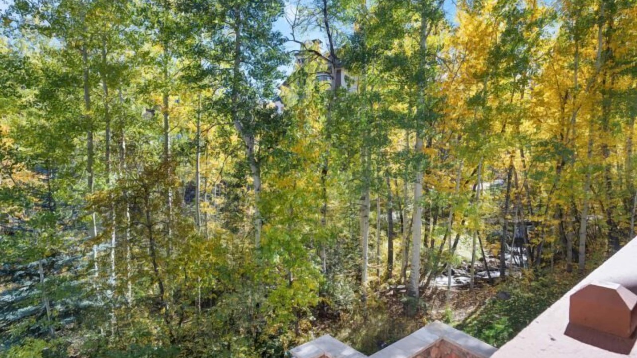 Photo of Others in Beaver Creek