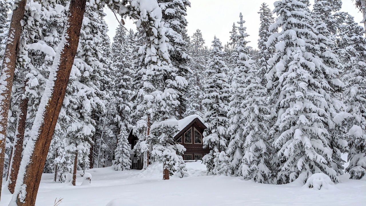 Photo of Outdoor in Blue River