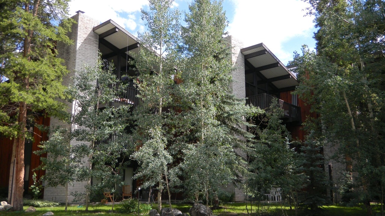 Photo of Outdoor in Warrior's Mark