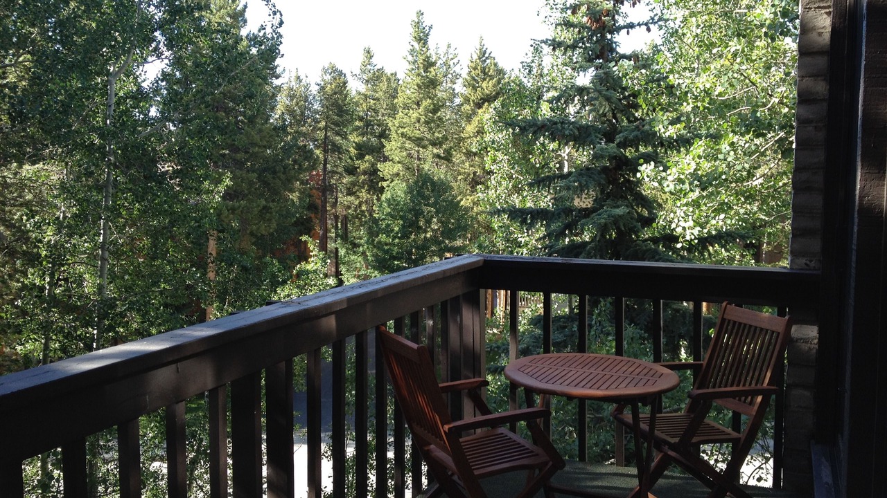 Photo of Patio Balcony in Warrior's Mark
