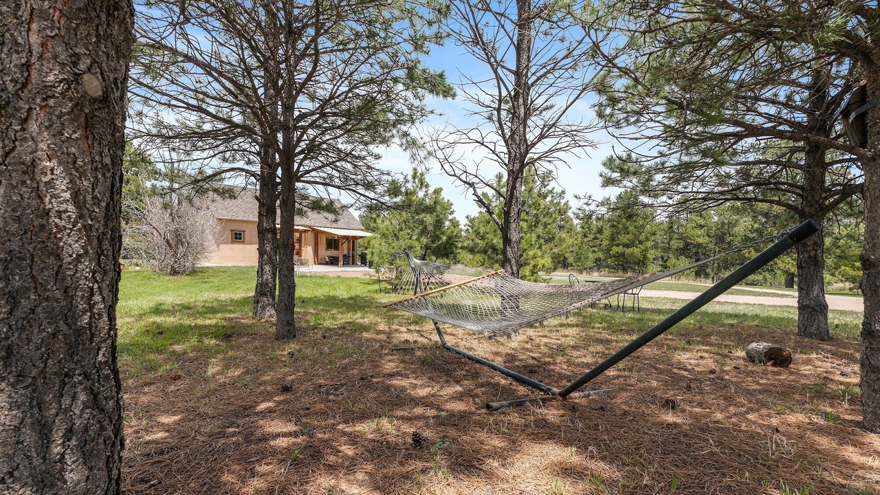 Photo of Outdoor in Elbert
