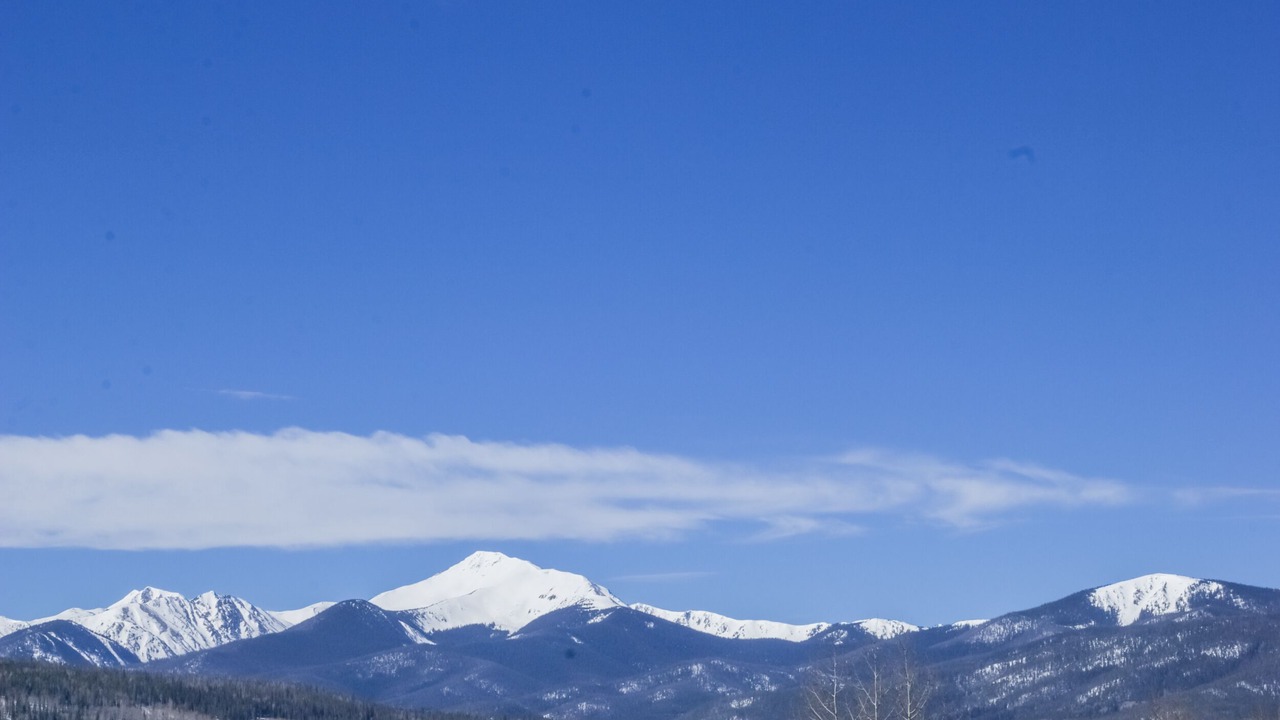 Photo of Others in Fraser