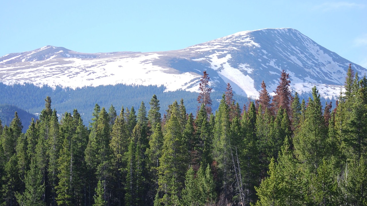 Photo of Outdoor in Four O'Clock