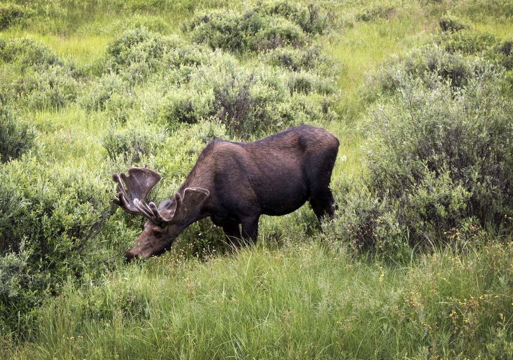 Photo of Others in Fraser