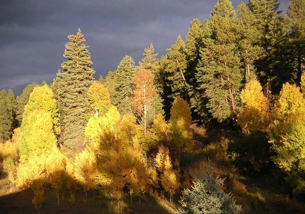 Photo of Others in San Juan River Village