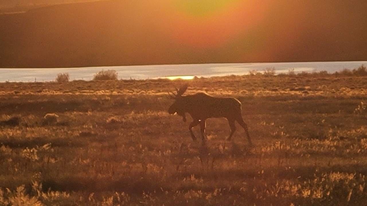 Photo of Others in Walden