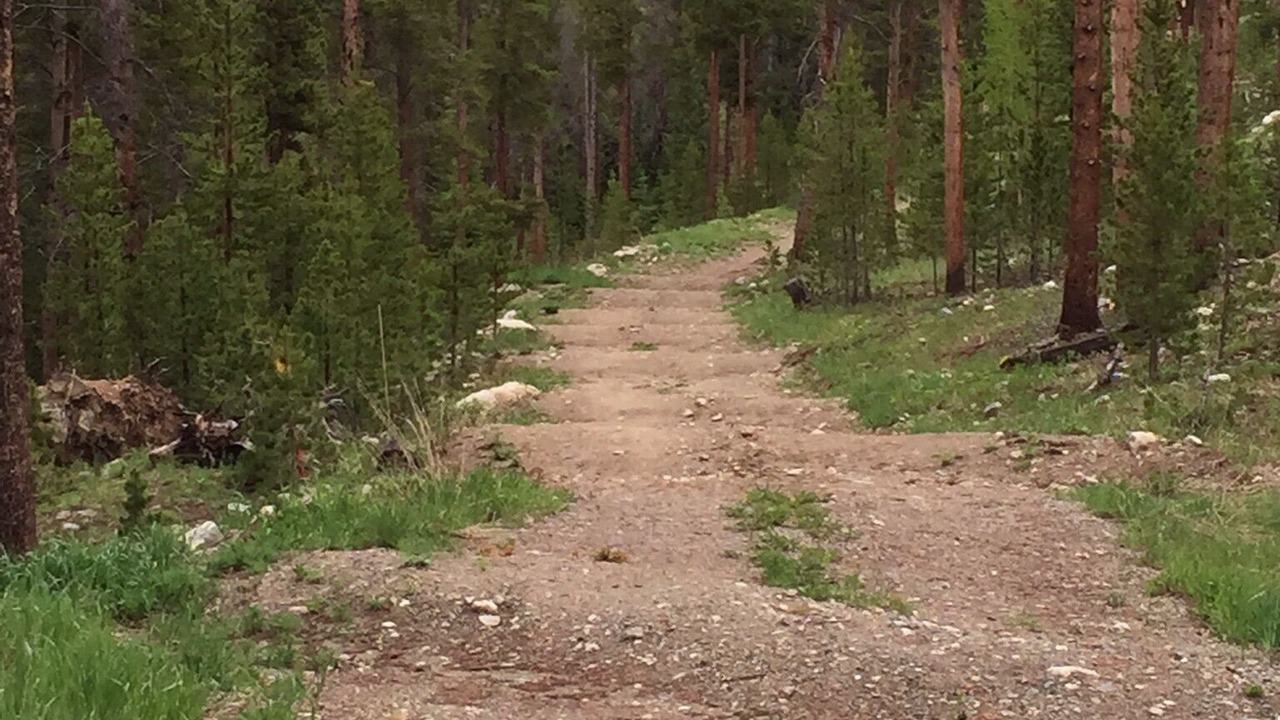 Photo of Others in Warrior's Mark West