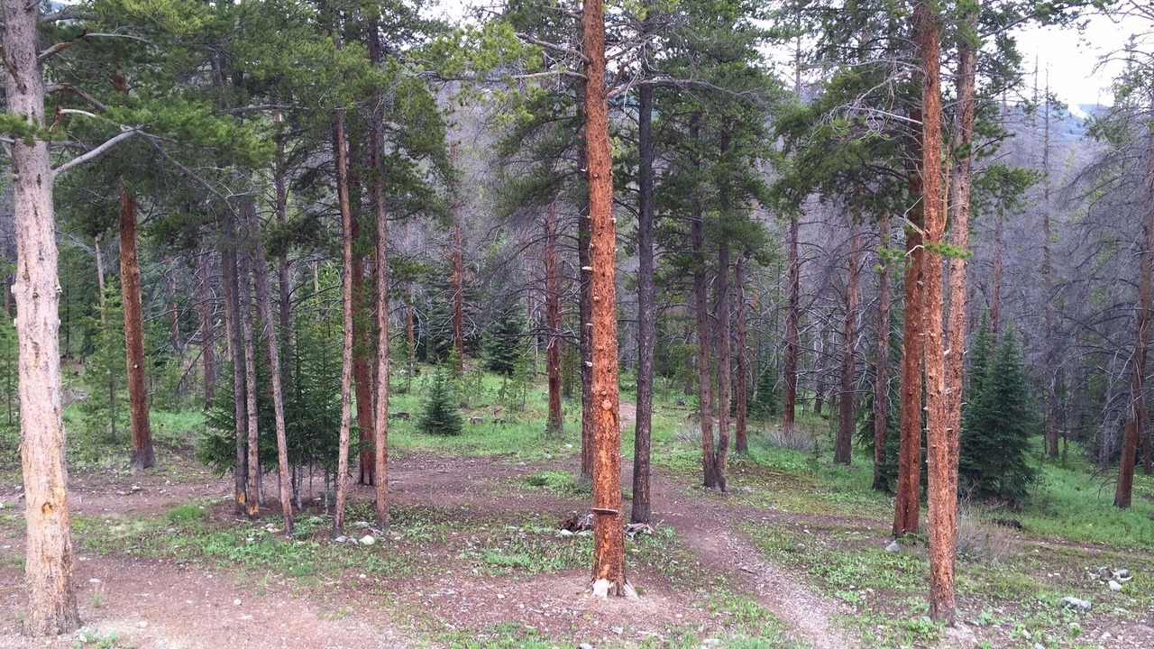 Photo of Outdoor in Warrior's Mark West
