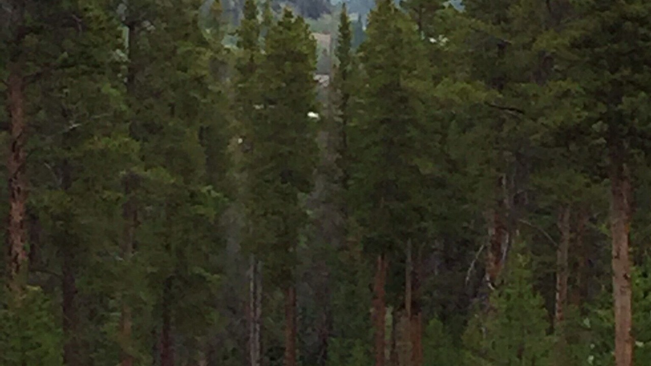 Photo of Others in Warrior's Mark West