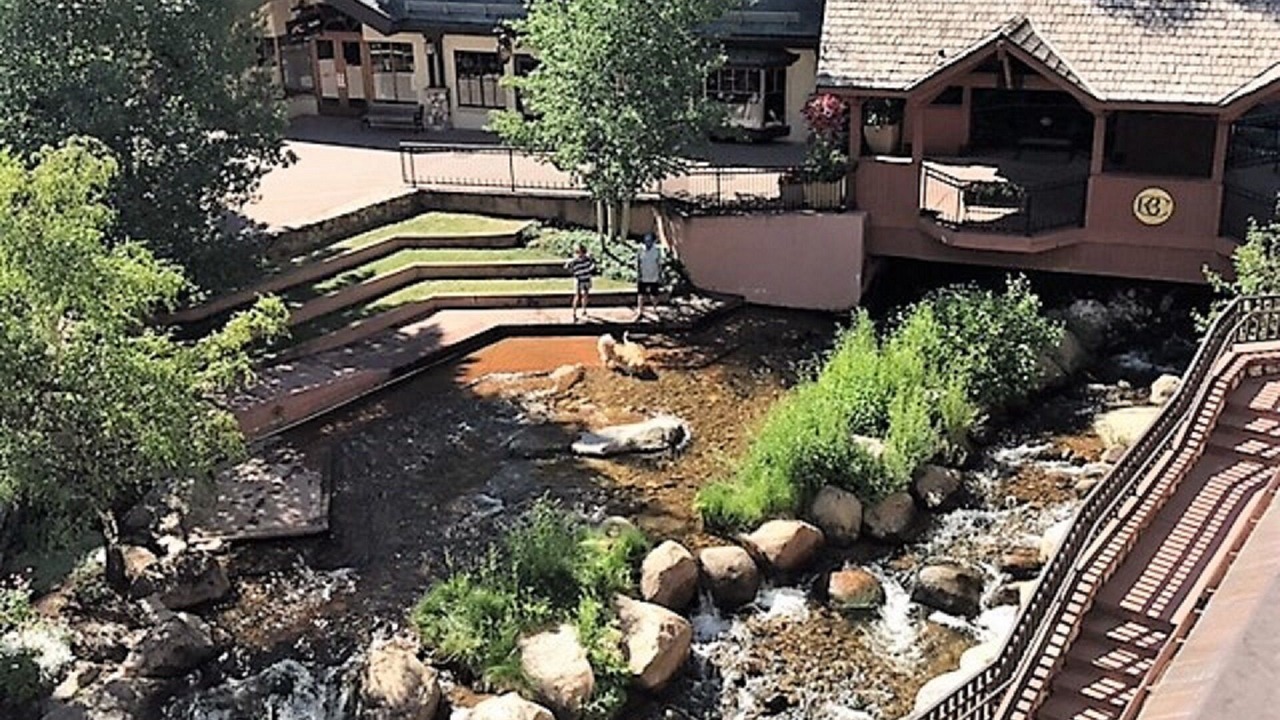 Photo of Others in Beaver Creek