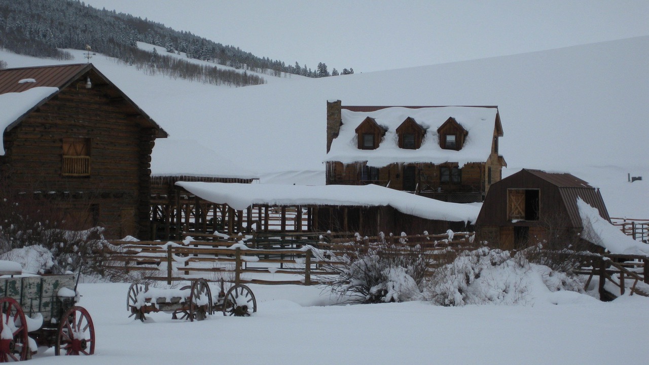 Photo of Others in Whitepine