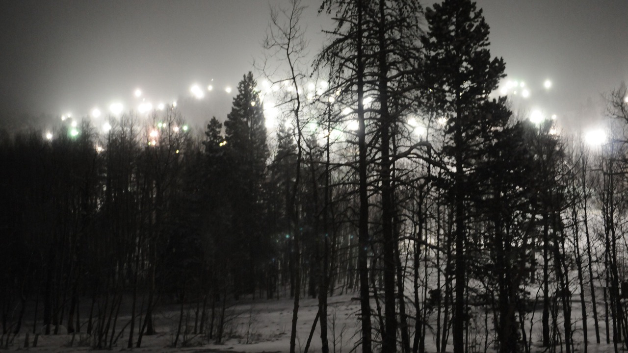 Photo of Outdoor in Silvercreek