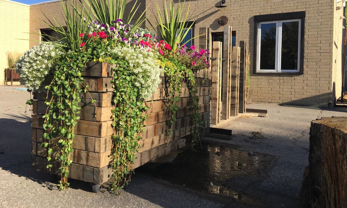 Photo of Outdoor in Hayden