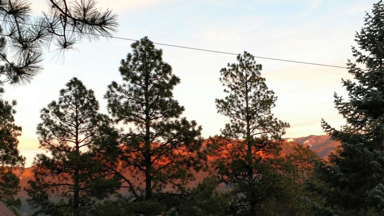 Photo of Others in San Juan River Village