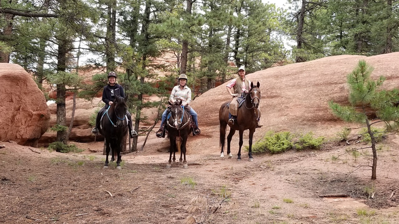 Photo of Others in Woodland Park