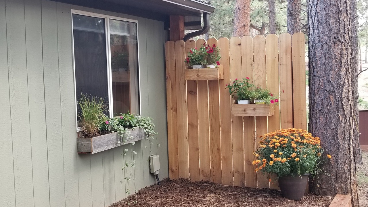 Photo of Outdoor in Woodland Park