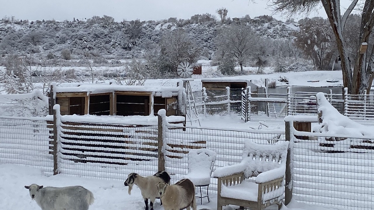 Photo of Outdoor in Clifton