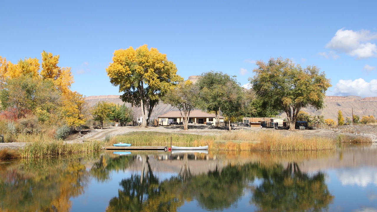 Photo of Outdoor in Clifton